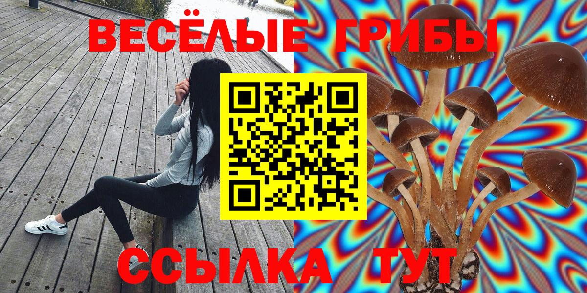 Галлюциногенные грибы мицелий Фрязино